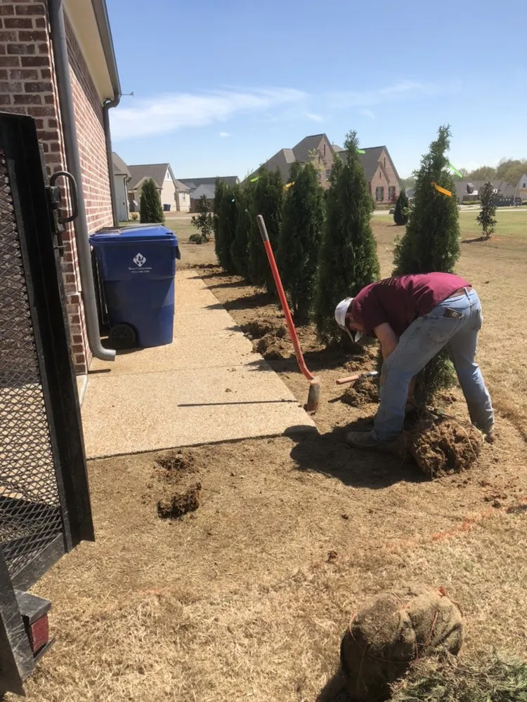 Reliable yard maintenance in Cordova, TN by Murillo Lawn and Landscaping