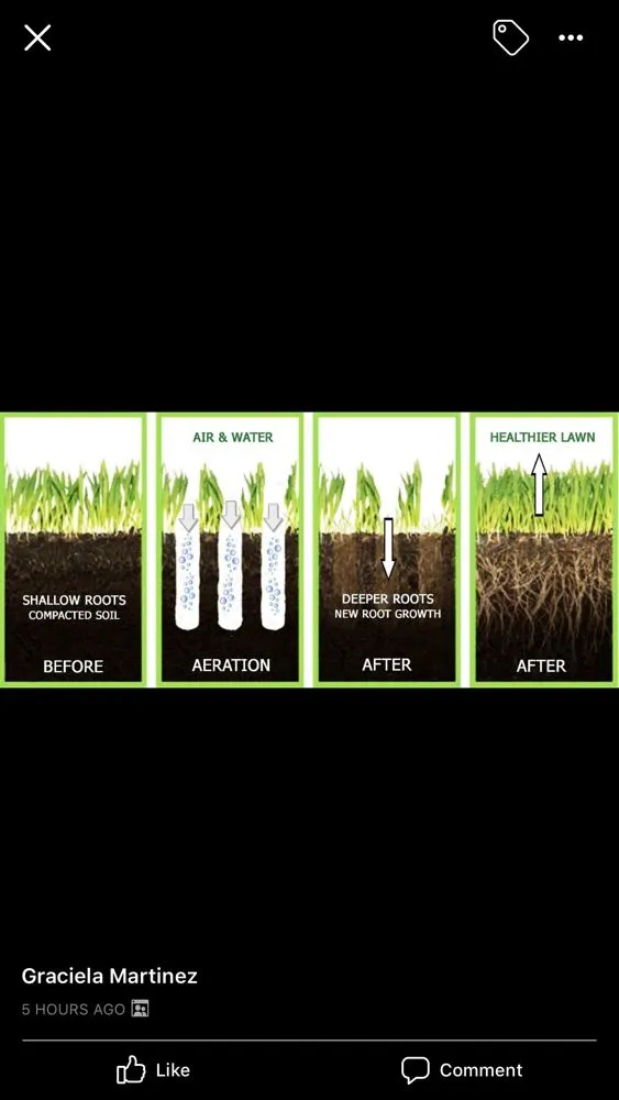 Professional lawn care service with custom design across Elgin, IL - Murillo’s Landscaping