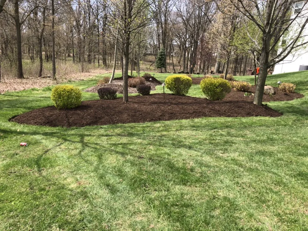 Trusted yard maintenance experts serving Elgin, IL - Murillo’s Landscaping