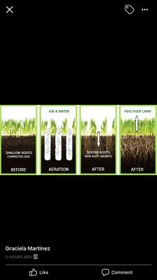 Murillo’s Landscaping Logo