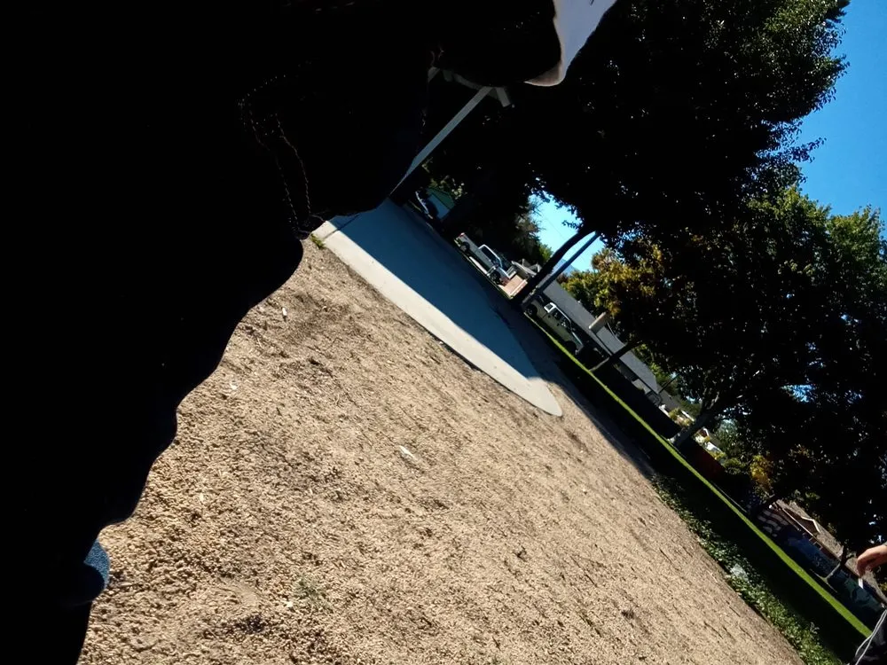 Trusted yard cleanup service experts serving Sparks, NV - Murillos Lawn Services