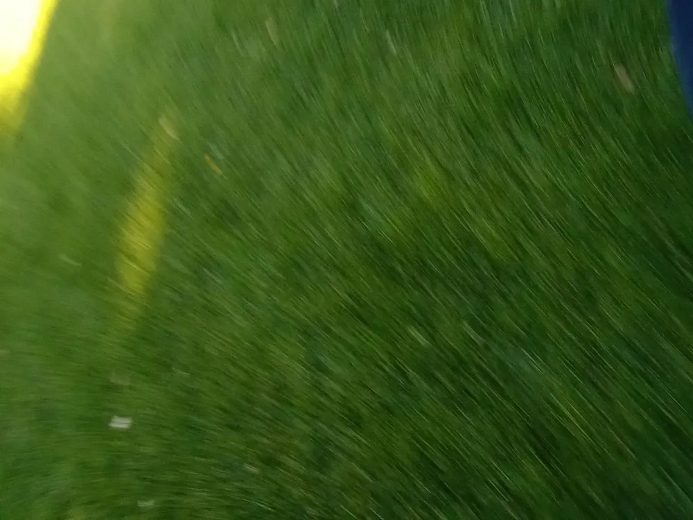 Affordable yard cleanup service in Sparks, NV - Murillos Lawn Services