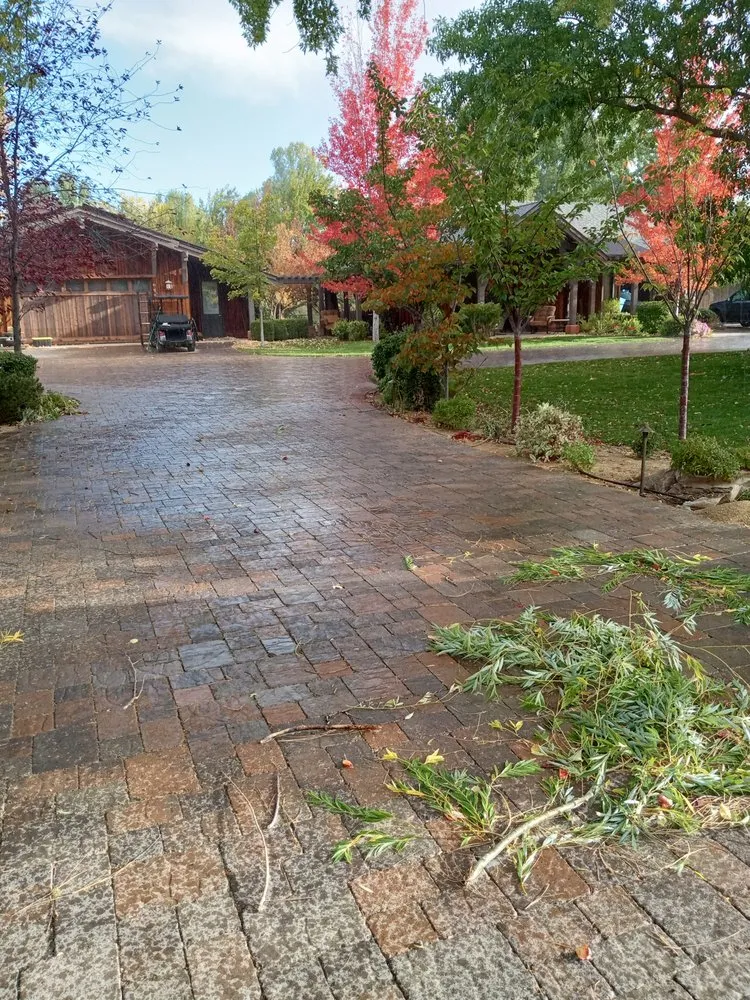 Reliable lawn mowing service for homes across Sparks, NV - Murillos Lawn Services