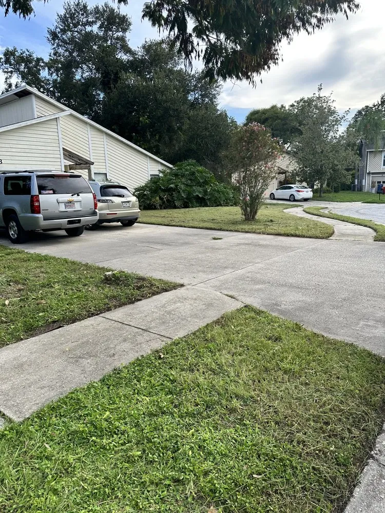 Custom yard cleanup service in Bradenton, FL - Murkerson Sons Lawn and Tree Service