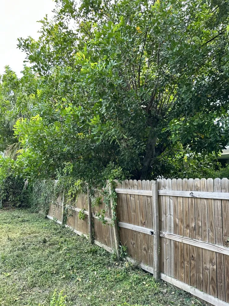 Top-rated lawn mowing service for year-round maintenance in Bradenton, FL by Murkerson Sons Lawn and Tree Service