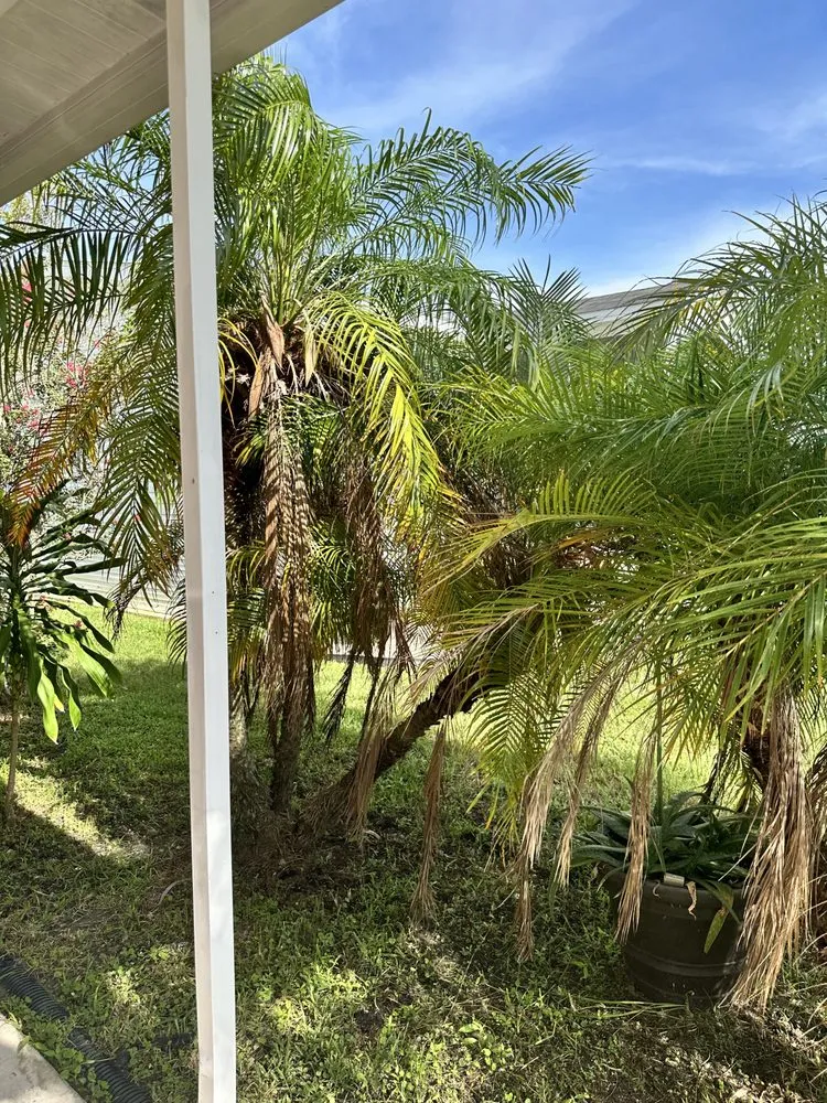 Top-rated yard maintenance in Bradenton, FL - Murkerson Sons Lawn and Tree Service