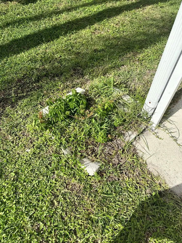 Top-rated residential landscaping experts serving Bradenton, FL - Murkerson Sons Lawn and Tree Service