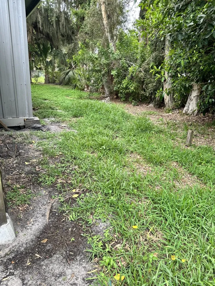 Trusted landscape installation experts serving Bradenton, FL - Murkerson Sons Lawn and Tree Service