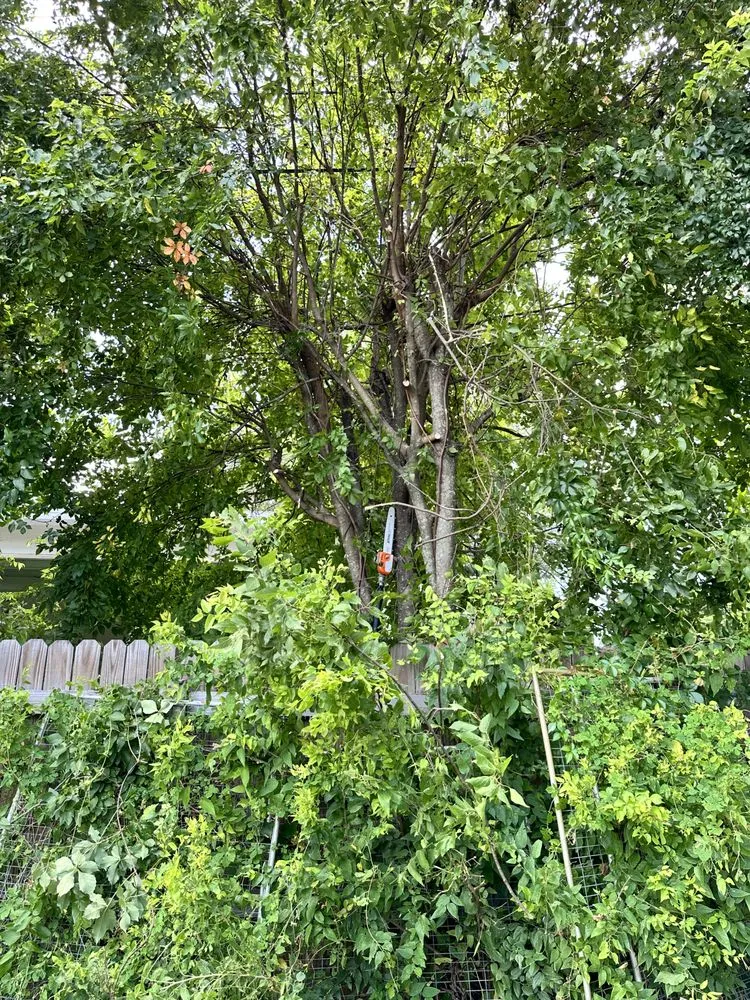 Local landscape installation in Bradenton, FL - Murkerson Sons Lawn and Tree Service