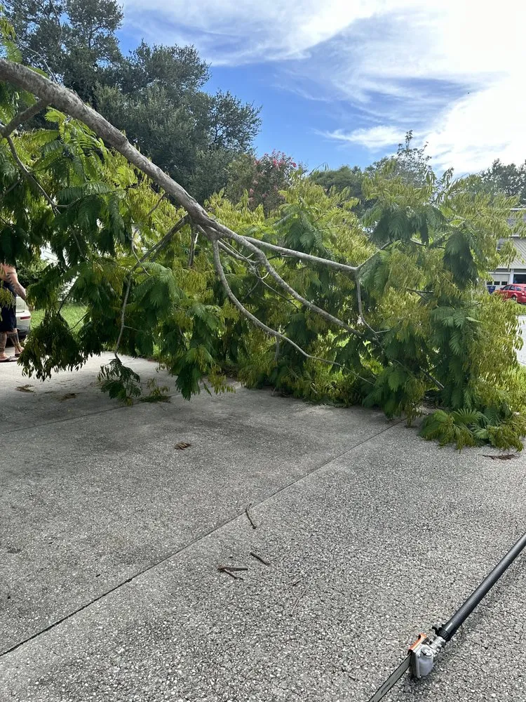 Affordable garden landscaping for beautiful yards across Bradenton, FL - Murkerson Sons Lawn and Tree Service