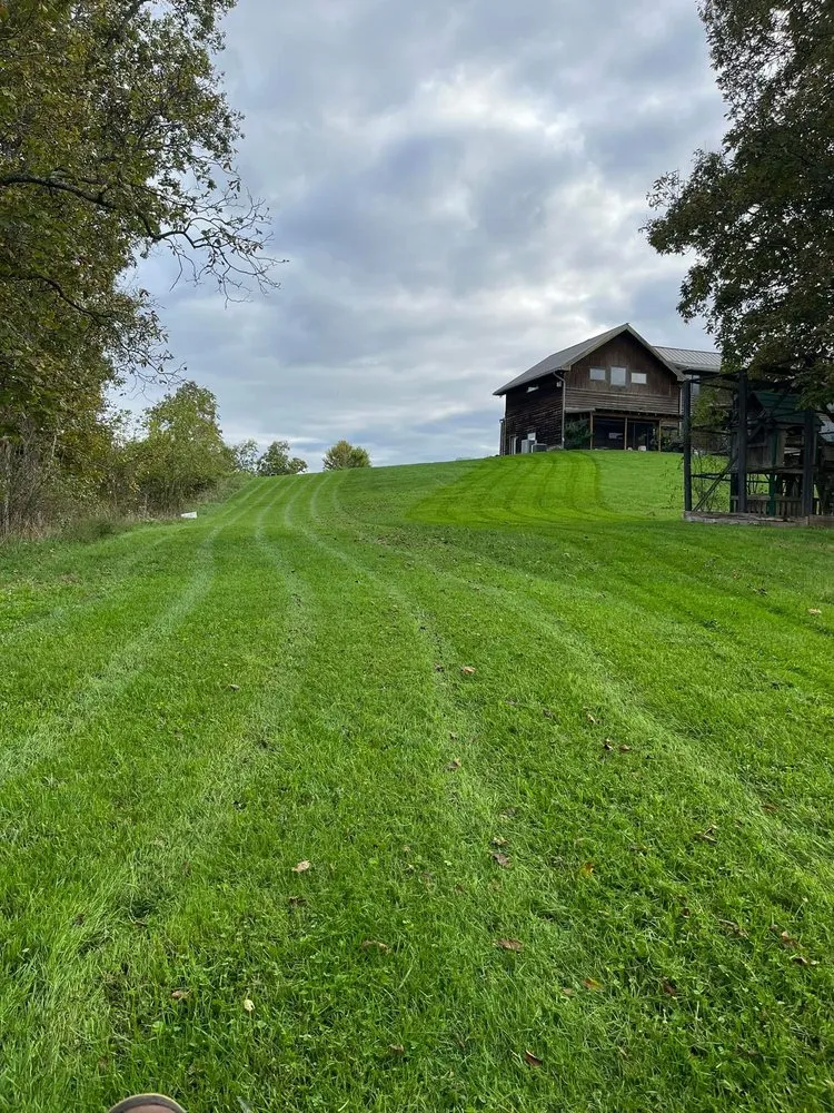 Reliable yard cleanup service in Athens, OH - Murph N’ Turf
