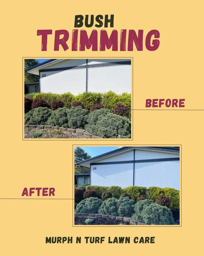 Top-rated garden landscaping in Athens, OH by Murph N’ Turf