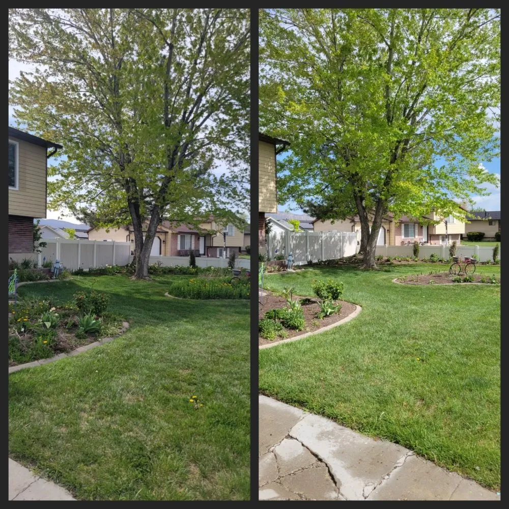 Affordable yard maintenance for year-round maintenance across Millcreek, UT - Murph's Worx
