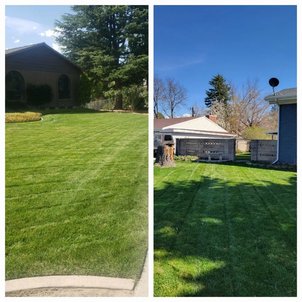 Reliable residential landscaping in Millcreek, UT - Murph's Worx