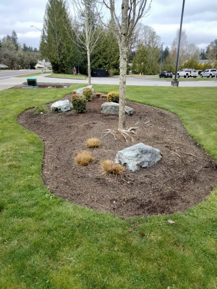 Trusted outdoor landscaping in Seattle, WA - Murphy Bro's Landscaping