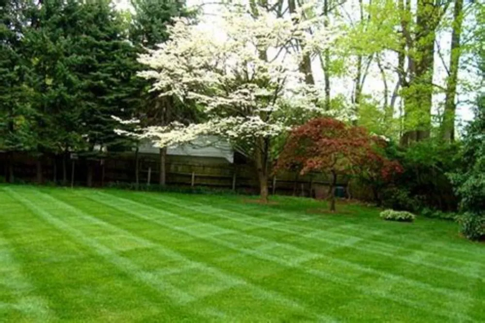Reliable outdoor landscaping in West Lafayette, IN by Murphy Brothers Limited
