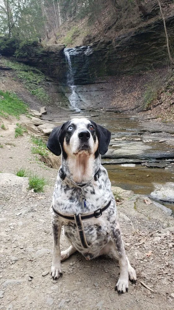 Professional landscape installation for outdoor upgrades in Pittsburgh, PA by Murphy Contracting and Landscaping