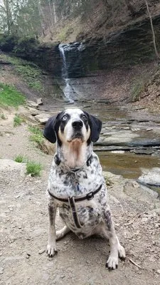 Murphy Contracting and Landscaping Logo