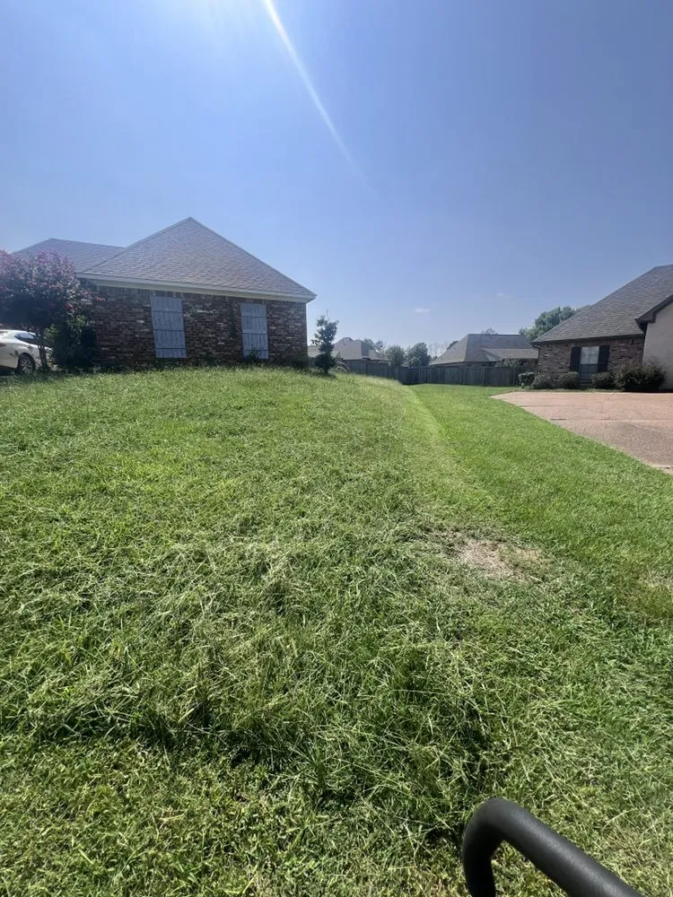 Local residential landscaping in Madison, MS - Murphy Lawn Care