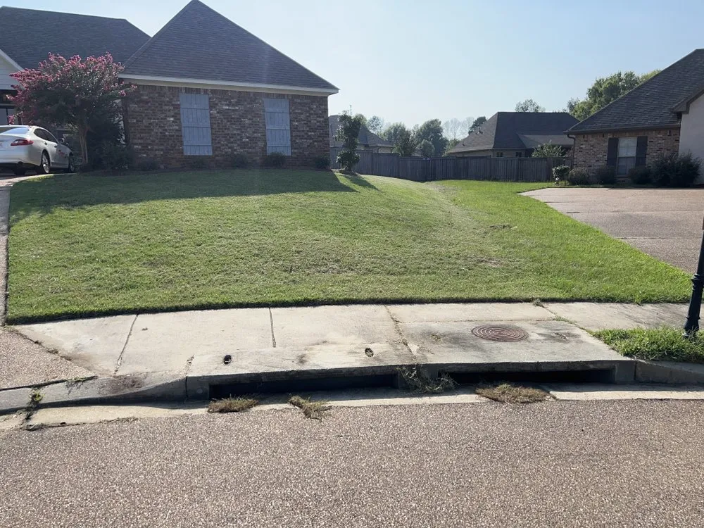 Trusted yard cleanup service in Madison, MS by Murphy Lawn Care