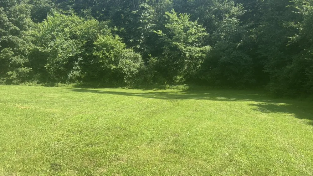 Professional landscaping services in Tennessee Ridge, TN - Murphy Lawncare