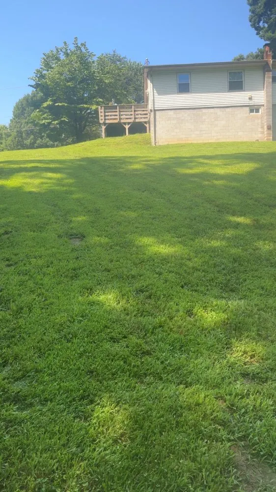Professional yard maintenance for outdoor upgrades in Tennessee Ridge, TN by Murphy Lawncare