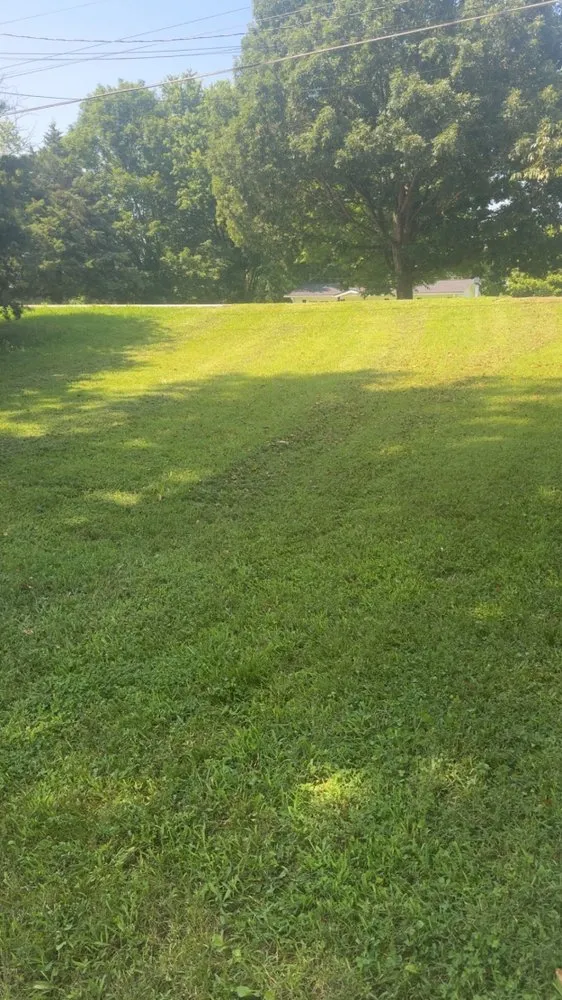 Affordable garden landscaping experts serving Tennessee Ridge, TN - Murphy Lawncare