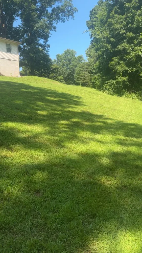 Reliable landscaping services in Tennessee Ridge, TN - Murphy Lawncare