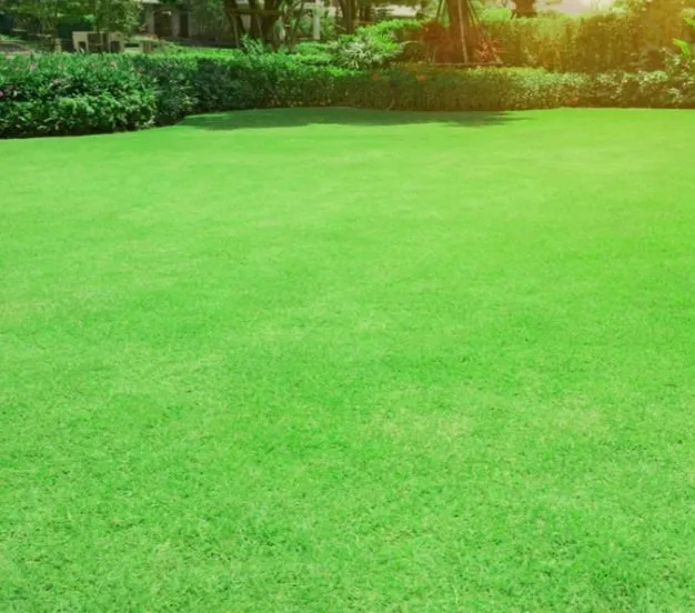 Affordable yard cleanup service with custom design in Lancaster, KY by MURPHY MOWING