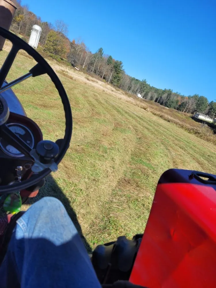 Expert lawn mowing service experts serving Harpursville, NY - Murphy's brush hogging