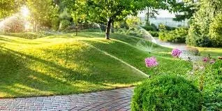 Expert yard cleanup service experts serving Clarkton, NC - Murphys construction 6