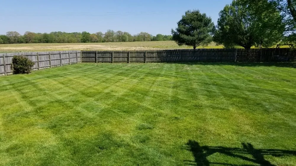 Affordable landscaping services in Bowling Green, KY - Murphy's Lawn & Landscape