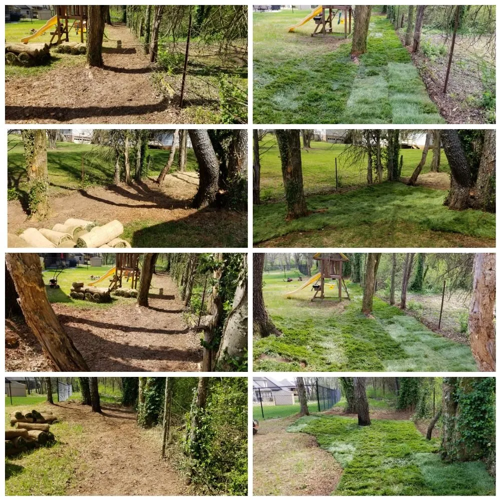 Trusted lawn care service in Bowling Green, KY by Murphy's Lawn & Landscape