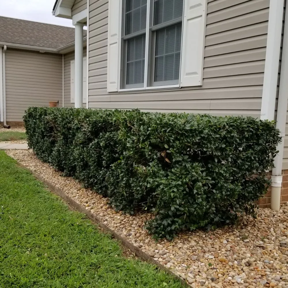Trusted landscaping services in Bowling Green, KY - Murphy's Lawn & Landscape
