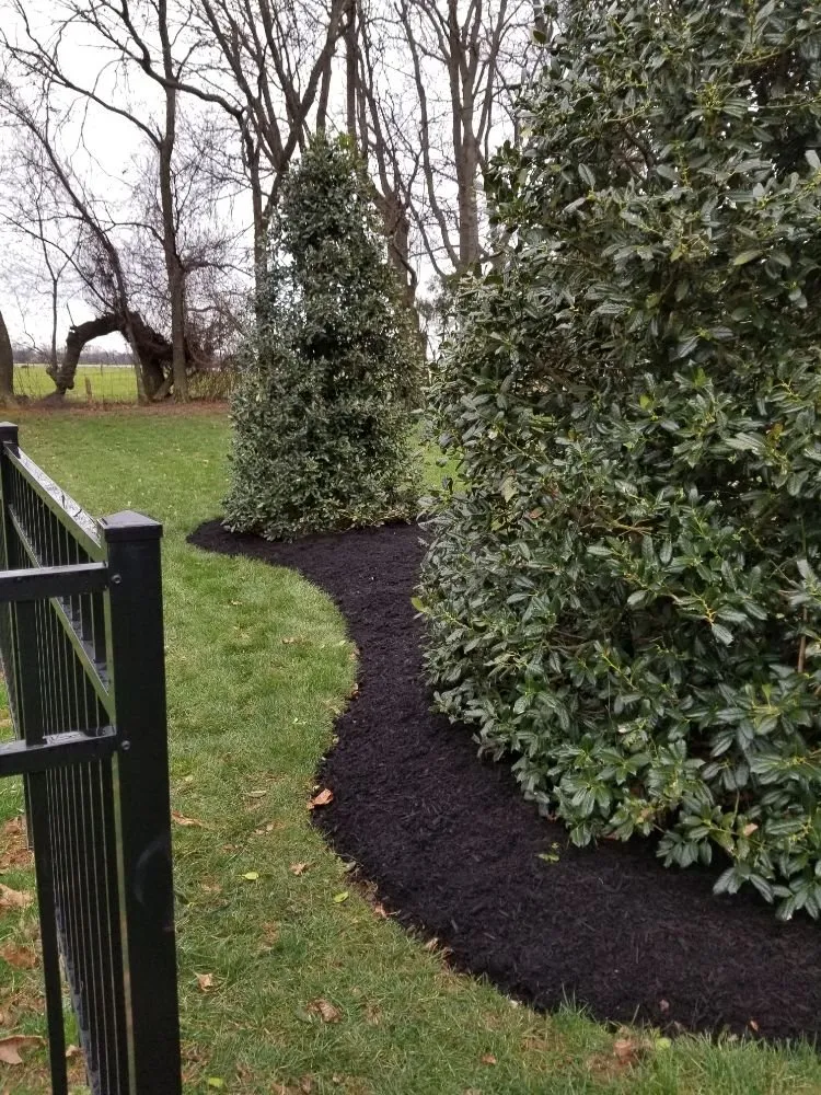 Reliable yard maintenance in Bowling Green, KY by Murphy's Lawn & Landscape