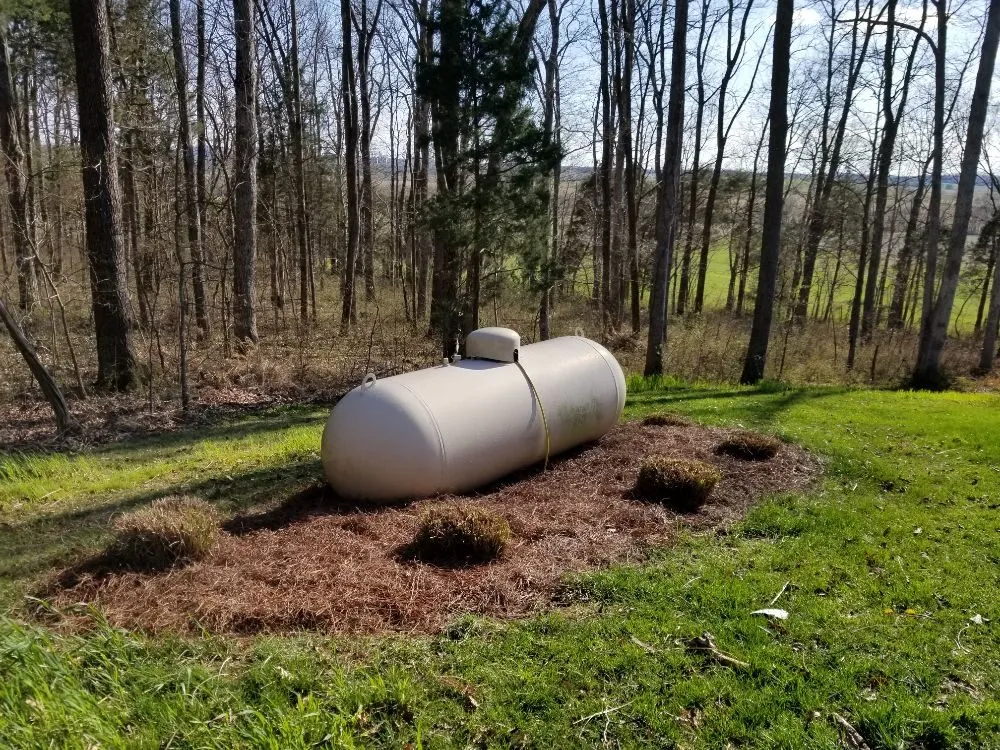 Expert yard maintenance experts serving Bowling Green, KY - Murphy's Lawn & Landscape