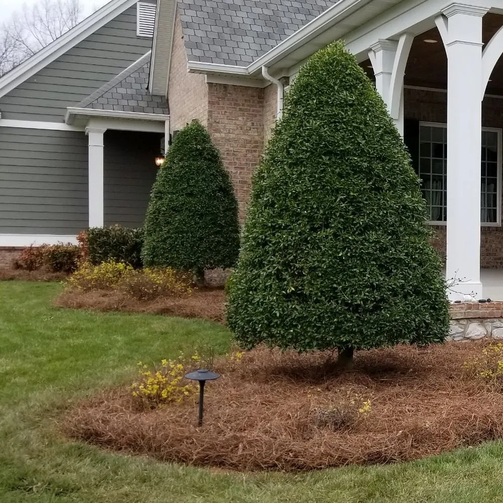 Local lawn care service experts serving Bowling Green, KY - Murphy's Lawn & Landscape