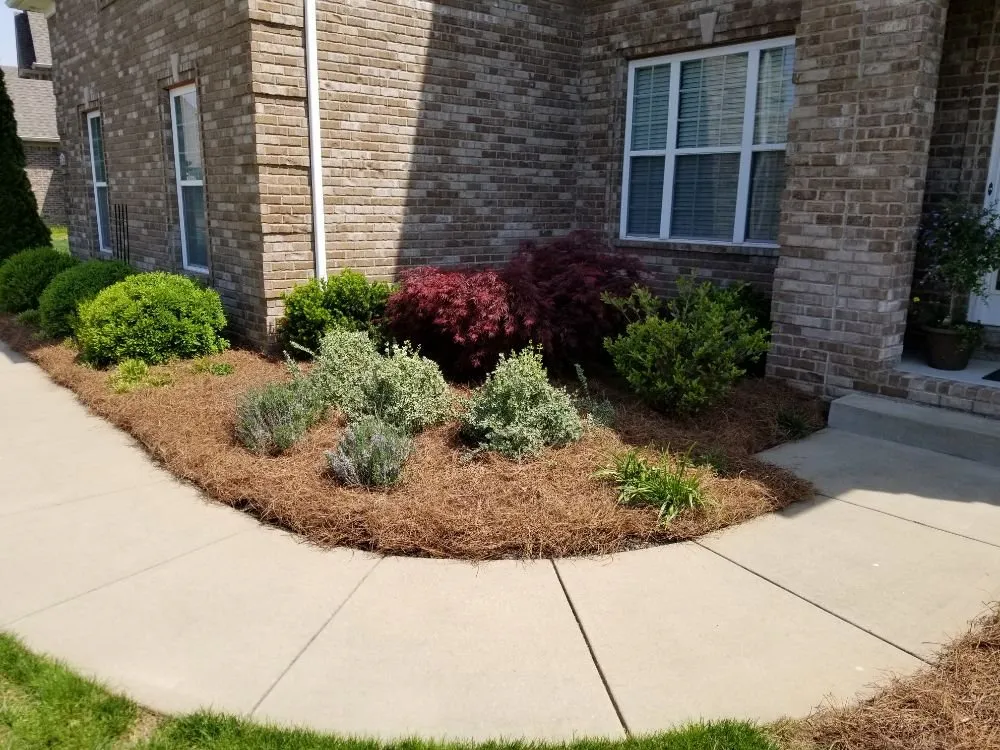 Reliable landscape installation near you across Bowling Green, KY - Murphy's Lawn & Landscape