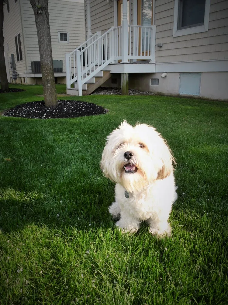 Affordable garden landscaping for year-round maintenance across Wildwood Crest, NJ - Murphy's Lawn Care & Landscaping