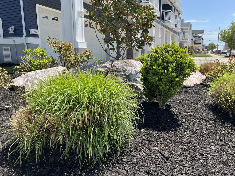 Reliable yard maintenance experts serving Wildwood Crest, NJ - Murphy's Lawn Care & Landscaping