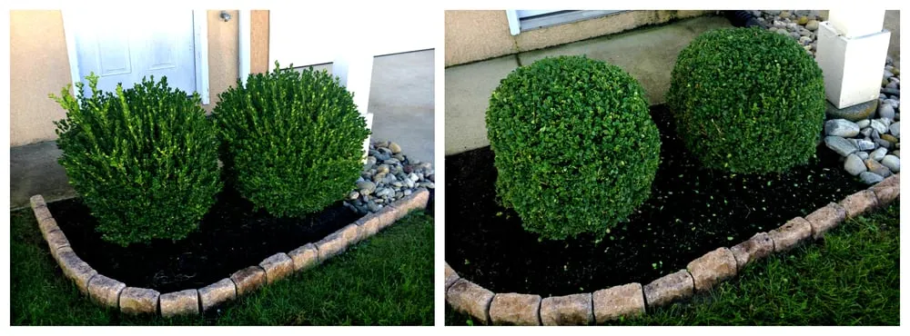 Local lawn care service in Wildwood Crest, NJ - Murphy's Lawn Care & Landscaping