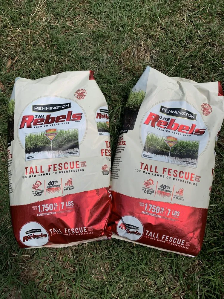 Trusted lawn care service near you in Denver, NC by Murphy’s Lawn Care