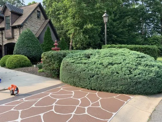 Murphy’s Lawn Care Logo