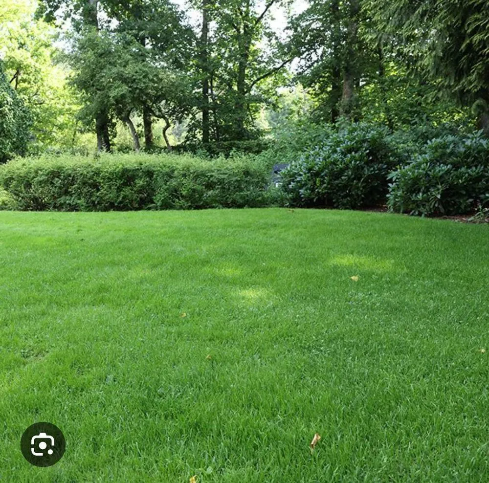 Professional garden landscaping for year-round maintenance across Mount Juliet, TN - Murphy's Lawn Care