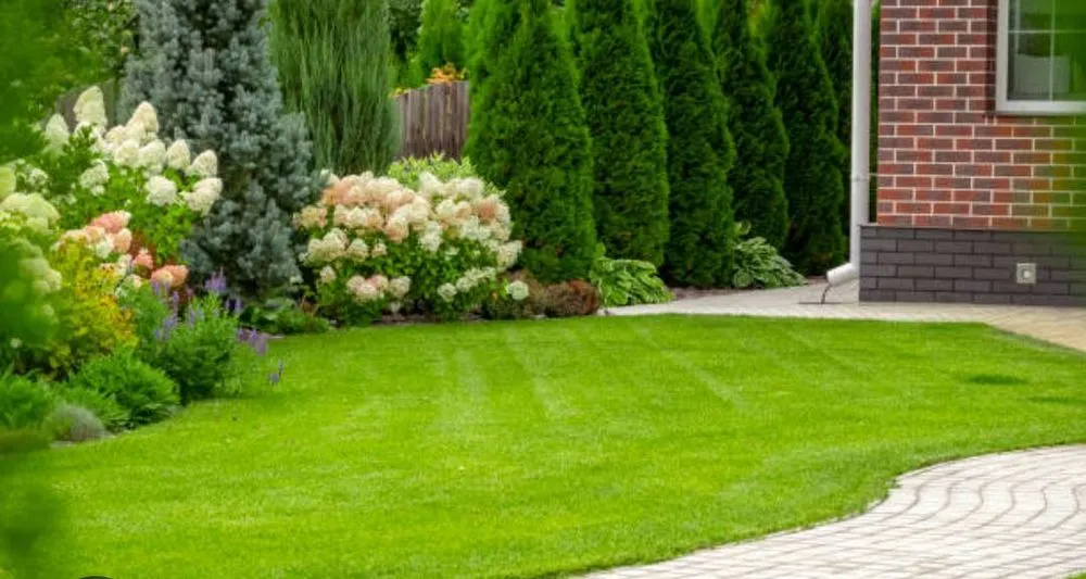 Professional landscaping services for outdoor upgrades across Mount Juliet, TN - Murphy's Lawn Care