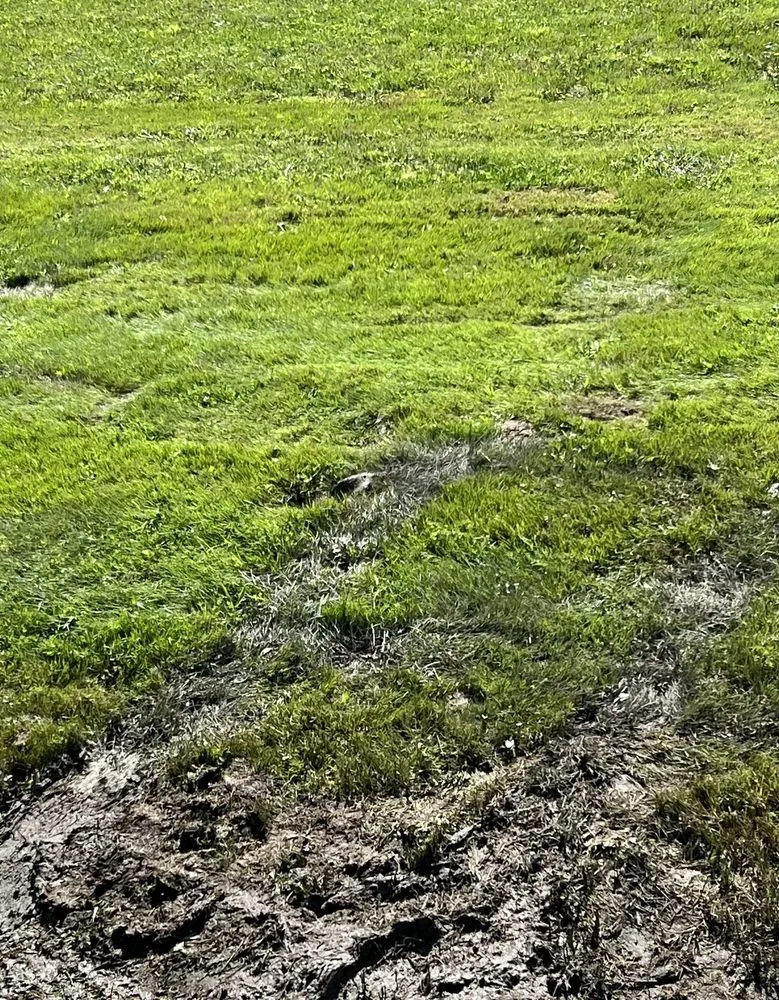 Top-rated garden landscaping experts serving Orono, ME - Murphy's Lawn Care