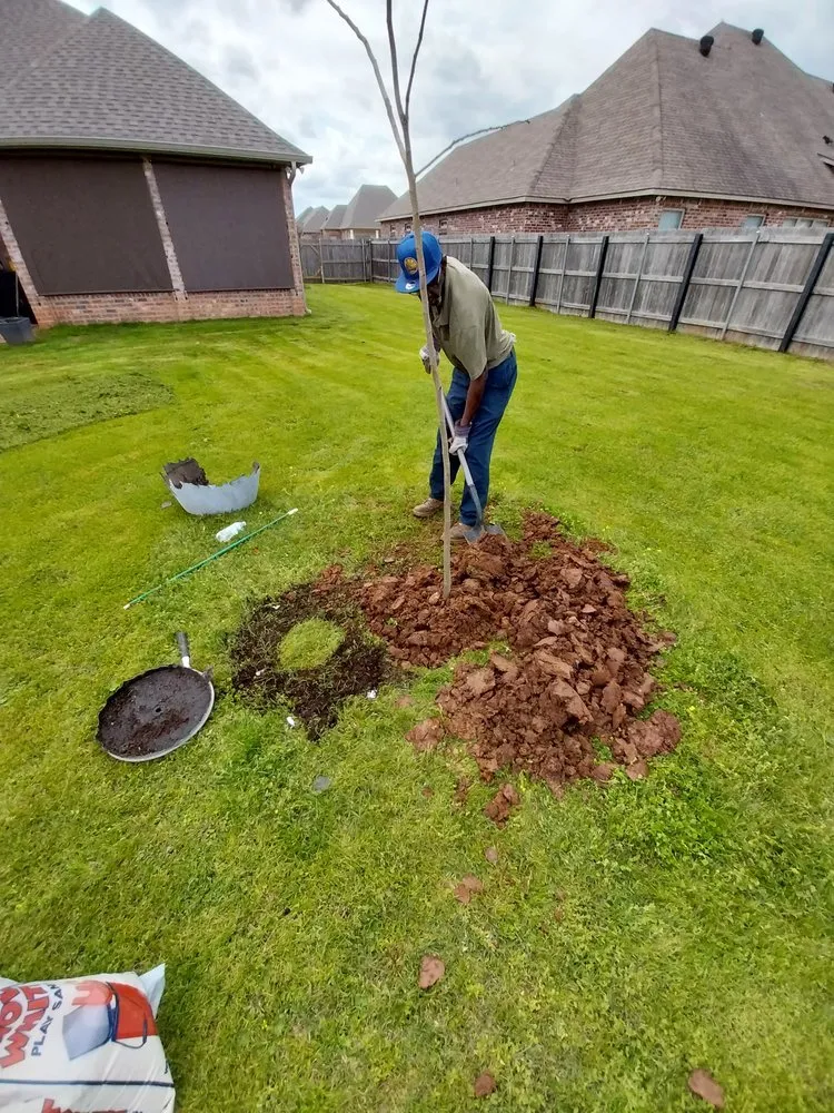 Trusted lawn care service for residential properties across Pineville, LA - Murphy's Lawn Care