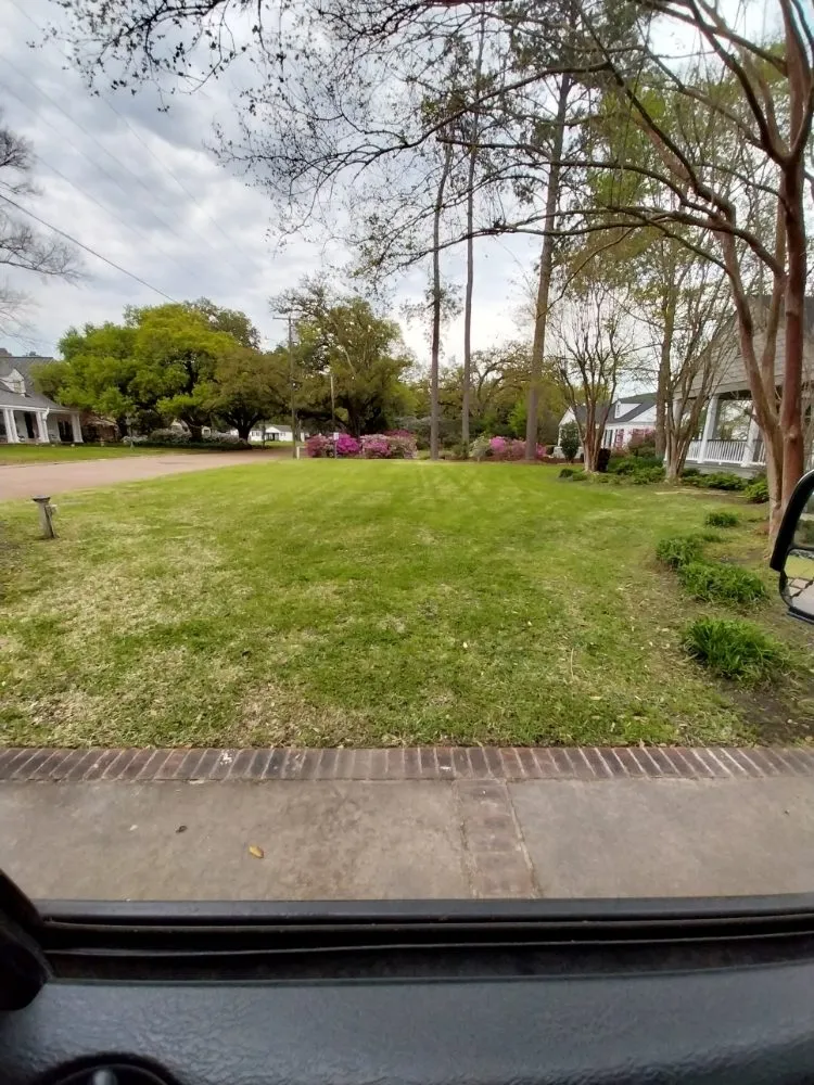 Top-rated residential landscaping in Pineville, LA - Murphy's Lawn Care