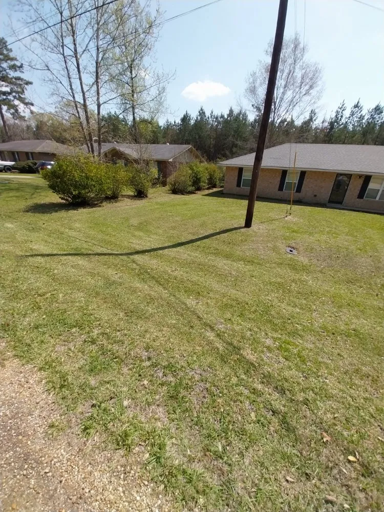 Top-rated lawn care service for beautiful yards in Pineville, LA by Murphy's Lawn Care