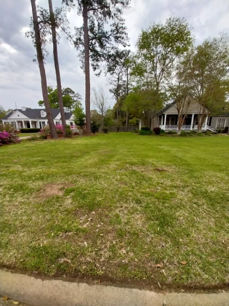 Trusted lawn care service experts serving Pineville, LA - Murphy's Lawn Care